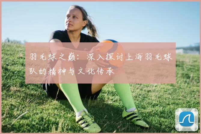 羽毛球之巅：深入探讨上海羽毛球队的精神与文化传承