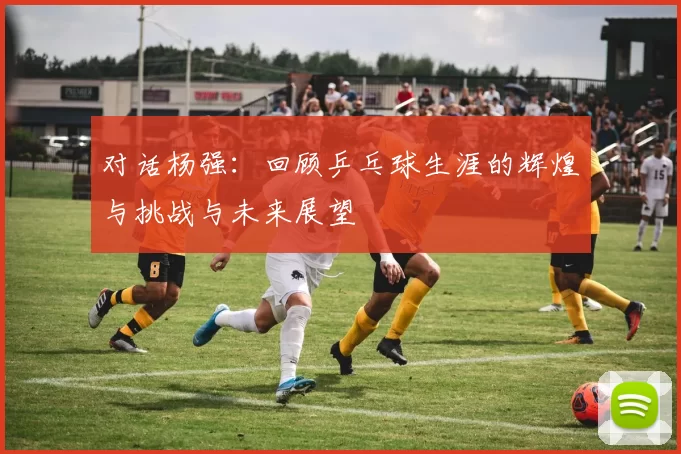 对话杨强：回顾乒乓球生涯的辉煌与挑战与未来展望
