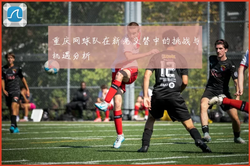重庆网球队在新老交替中的挑战与机遇分析