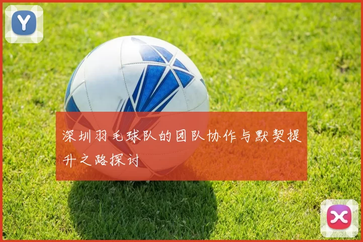 深圳羽毛球队的团队协作与默契提升之路探讨