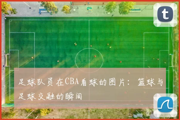 足球队员在CBA看球的图片：篮球与足球交融的瞬间
